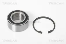 Triscan 8530 43106