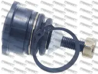 FeBest 3220-CTSUF