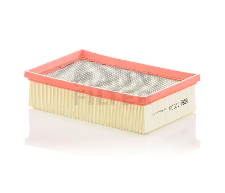MANN-FILTER C 25 021 AIR FILTER