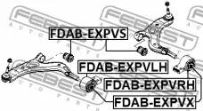 FeBest FDAB-EXPVX