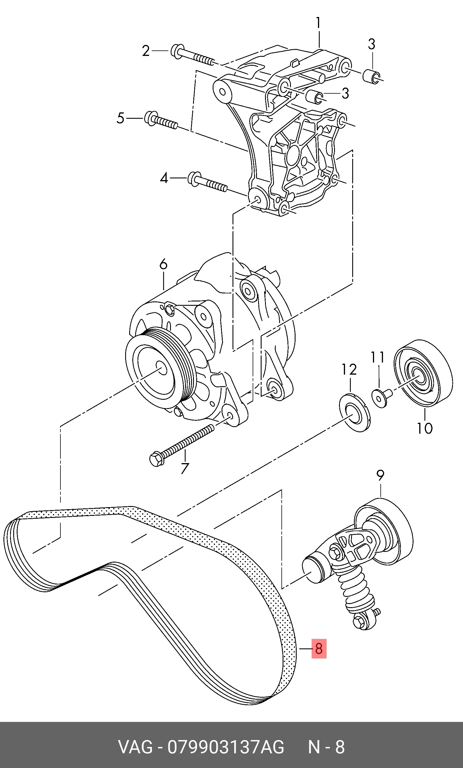 VAG 079 903 137 AG MULTIRIB BELT