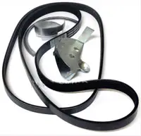 FORD 1 354 255 MULTIRIB BELT