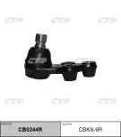 CTR CB0244R